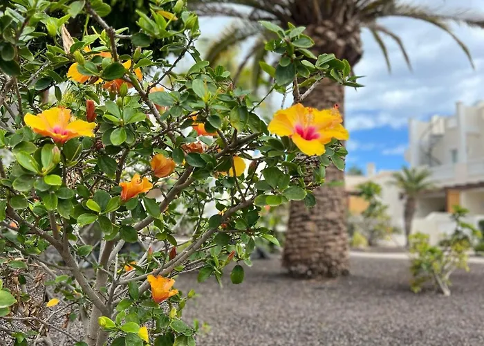 My Piece Of Paradise Apartmán Palm-mar